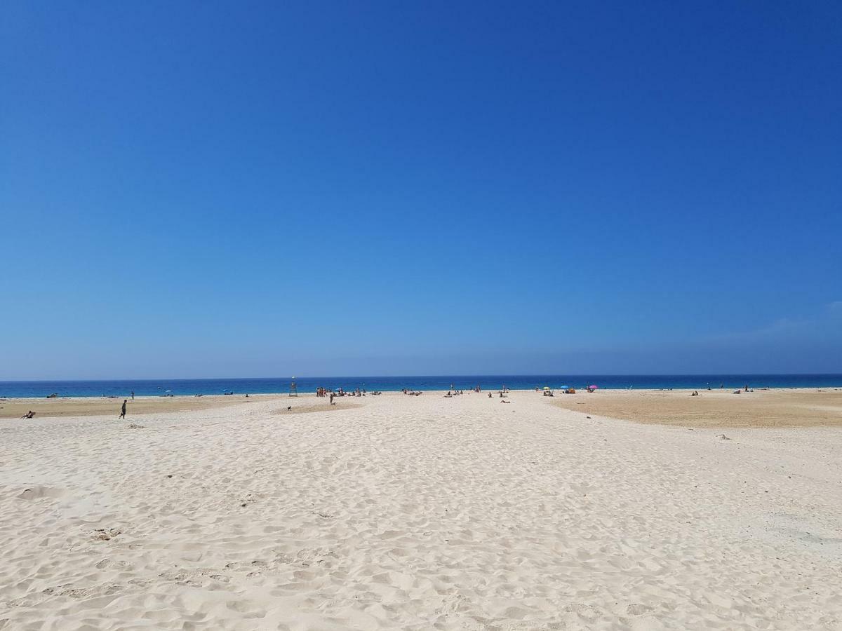 Rodeo Apartments Marbella Ngoại thất bức ảnh